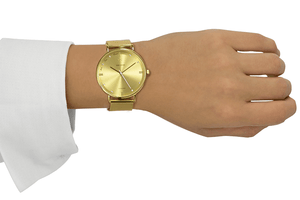 Elixir Gold Nick Cabana